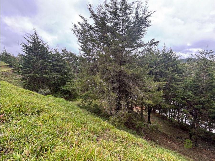Land in Santa Elena for Sale - 4