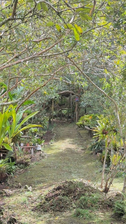 Finca en venta en Lomitas, La Ceja, 10000 m² · foto 5 de 9