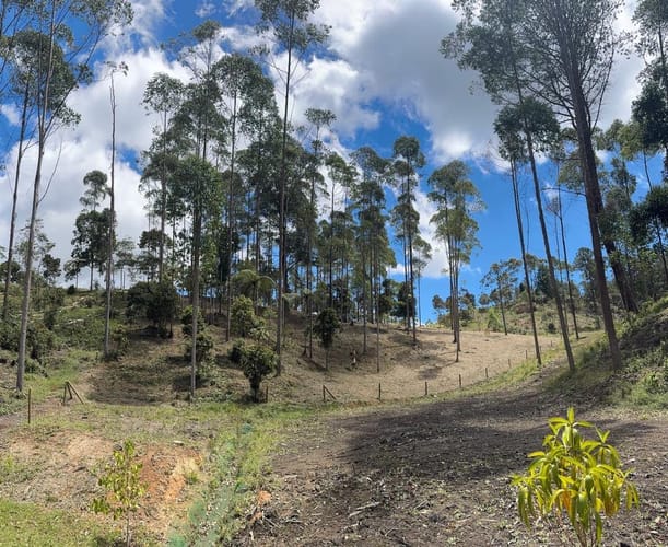 Lote en venta en El Retiro, 4633 m² · foto 3 de 3