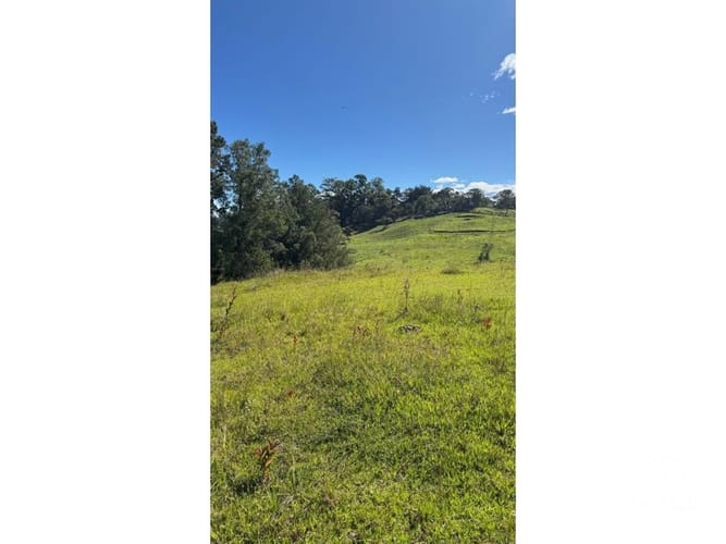 Lote en venta en Santa Elena, El Retiro, 13500 m² · foto 6 de 16