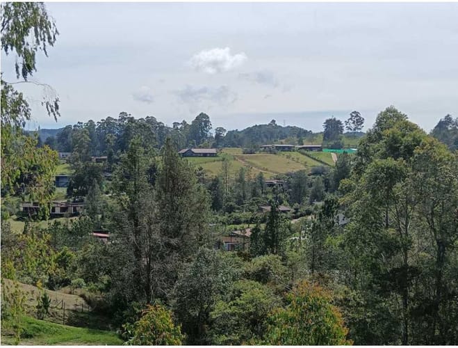 Lote en venta en Santa Elena, El Retiro, 3389 m² · foto 6 de 14