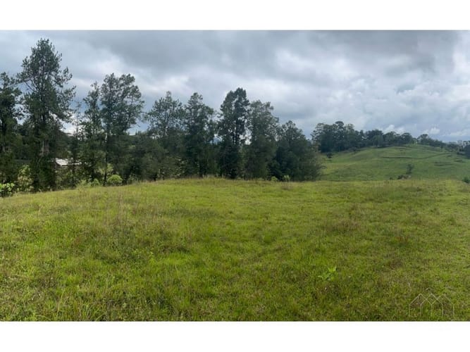 Lote en venta en Santa Elena, El Retiro, 13500 m² · foto 8 de 16