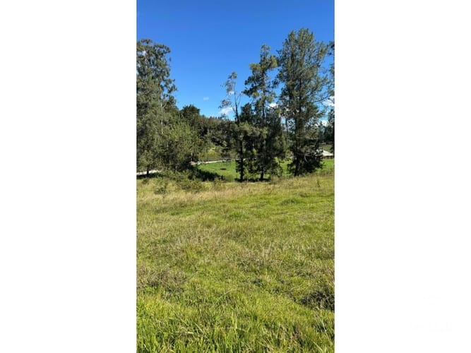 Lote en venta en Santa Elena, El Retiro, 13500 m² · foto 9 de 16