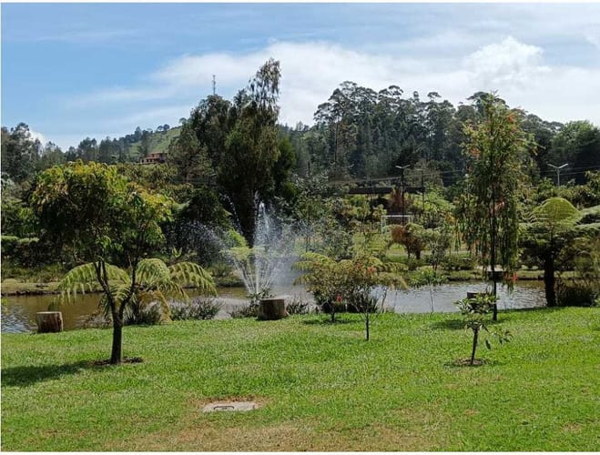 Lote en venta en Santa Elena, El Retiro, 3389 m² · foto 8 de 14