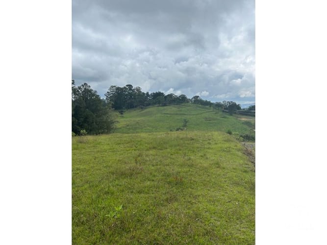 Lote en venta en Santa Elena, El Retiro, 13500 m² · foto 10 de 16