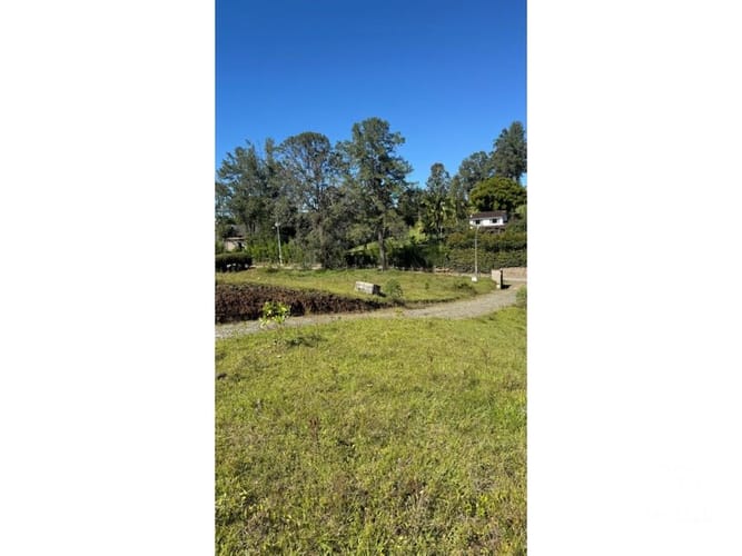 Lote en venta en Santa Elena, El Retiro, 13500 m² · foto 11 de 16