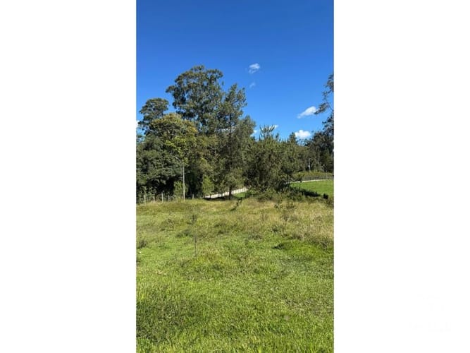Lote en venta en Santa Elena, El Retiro, 13500 m² · foto 12 de 16