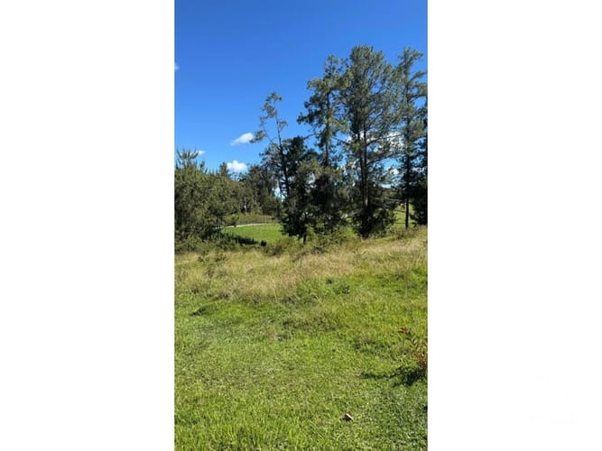 Lote en venta en Santa Elena, El Retiro, 13500 m² · foto 13 de 16