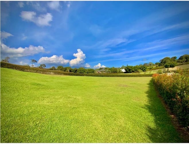 Lote en venta en Llano Grande, Rionegro, 2650 m² · foto 5 de 15