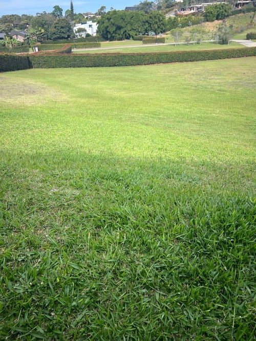 Lote en venta en Llano Grande, Rionegro, 2650 m² · foto 6 de 15