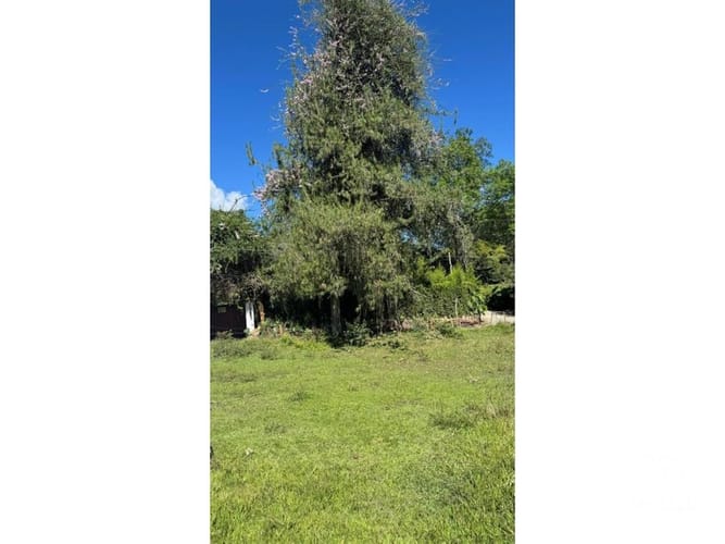 Lote en venta en Santa Elena, El Retiro, 13500 m² · foto 15 de 16