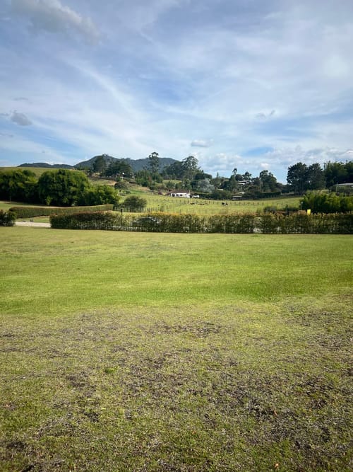 Lote en venta en Llano Grande, Rionegro, 2650 m² · foto 9 de 15