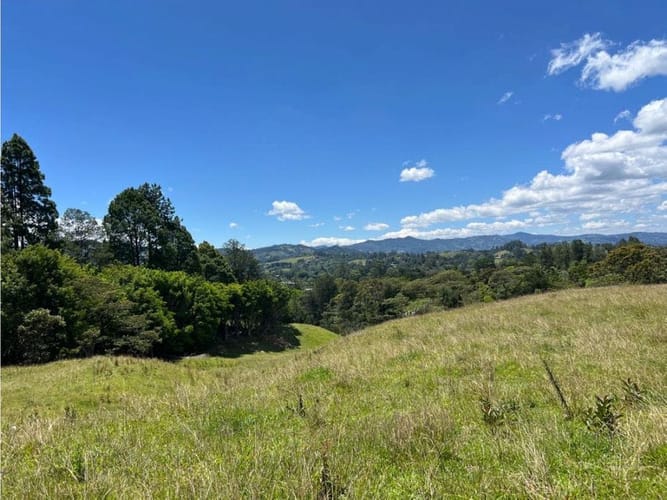 Lote en venta en Santa Elena, El Retiro, 24268 m² · foto 3 de 13
