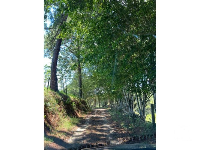 Lote en venta en Santa Elena, El Retiro, 24268 m² · foto 4 de 13