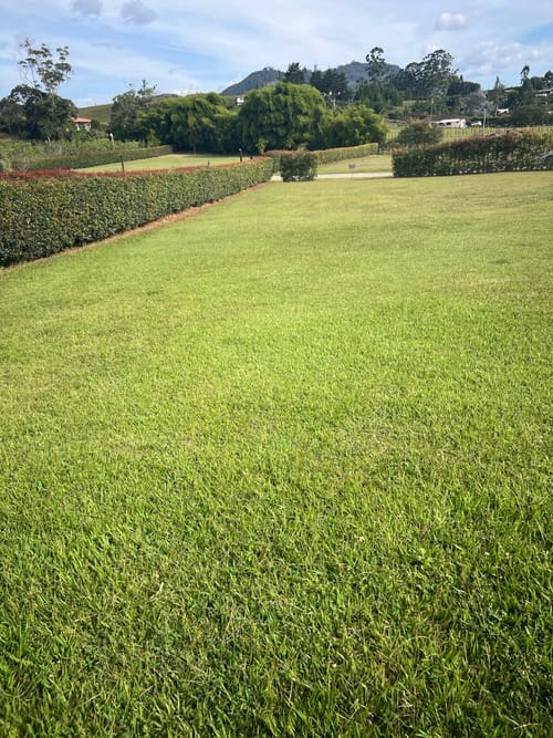 Lote en venta en Llano Grande, Rionegro, 2650 m² · foto 11 de 15