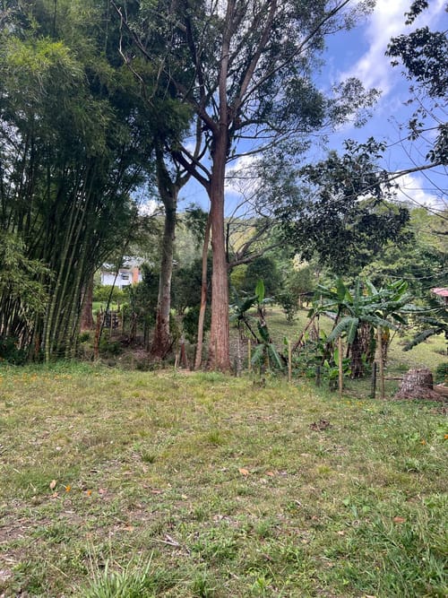 Lote en venta en Santa Elena, El Retiro, 1802 m² · foto 4 de 10