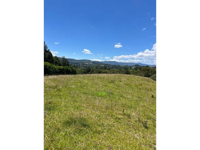 Lote en venta en Santa Elena, El Retiro, 24268 m² · foto 5 de 13