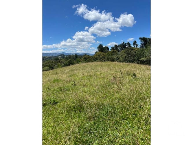Lote en venta en Santa Elena, El Retiro, 24268 m² · foto 6 de 13