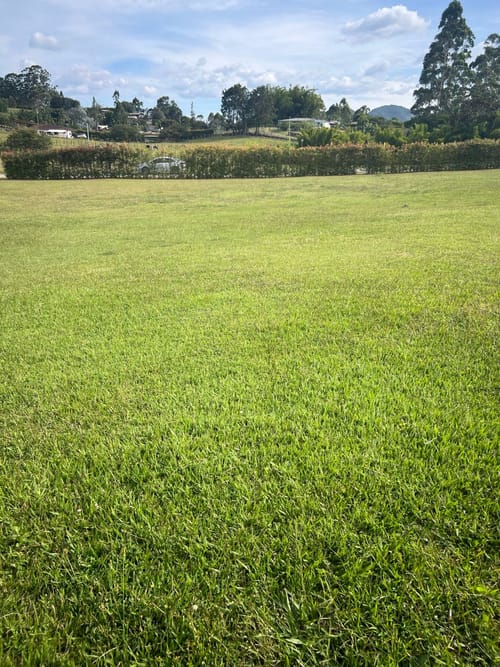 Lote en venta en Llano Grande, Rionegro, 2650 m² · foto 12 de 15
