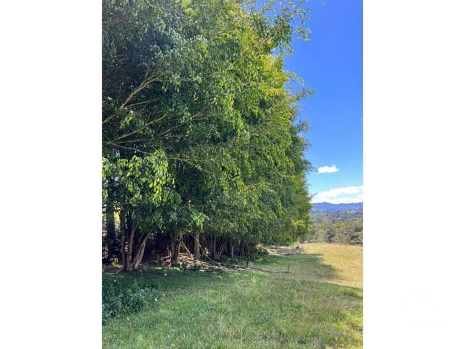 Lote en venta en Santa Elena, El Retiro, 24268 m² · foto 8 de 13