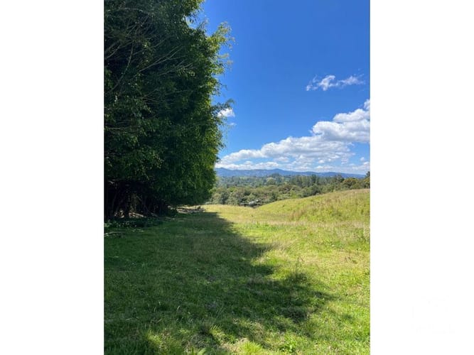 Lote en venta en Santa Elena, El Retiro, 24268 m² · foto 9 de 13