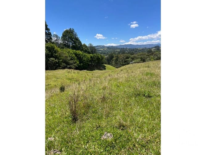 Lote en venta en Santa Elena, El Retiro, 24268 m² · foto 10 de 13