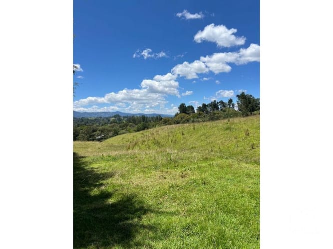Lote en venta en Santa Elena, El Retiro, 24268 m² · foto 11 de 13
