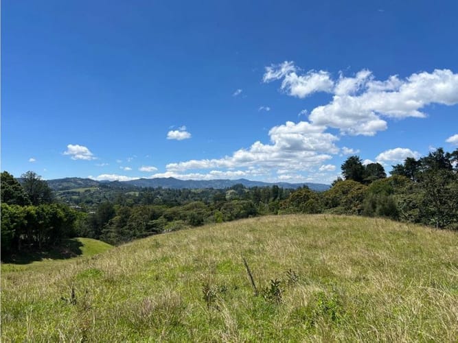 Lote en venta en Santa Elena, El Retiro, 24268 m² · foto 12 de 13