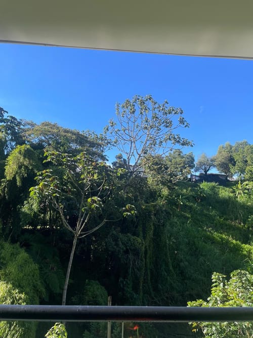 Apartamento de 2 alcobas en venta en Los Salados, El Retiro, 77 m² · foto 3 de 11