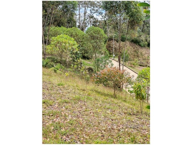 Lote en venta en Santa Elena, El Retiro, 3562 m² · foto 7 de 15