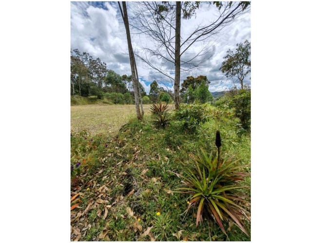 Lote en venta en Santa Elena, El Retiro, 3562 m² · foto 8 de 15