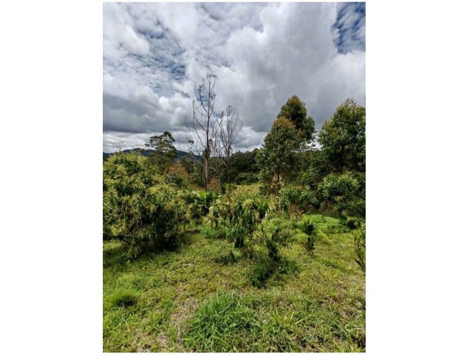 Lote en venta en Santa Elena, El Retiro, 3562 m² · foto 11 de 15