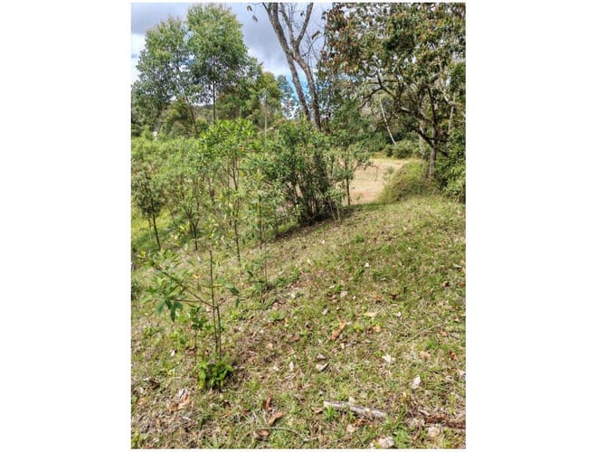 Lote en venta en Santa Elena, El Retiro, 3562 m² · foto 13 de 15