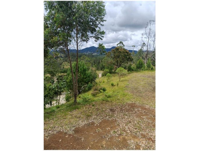 Lote en venta en Santa Elena, El Retiro, 3562 m² · foto 14 de 15