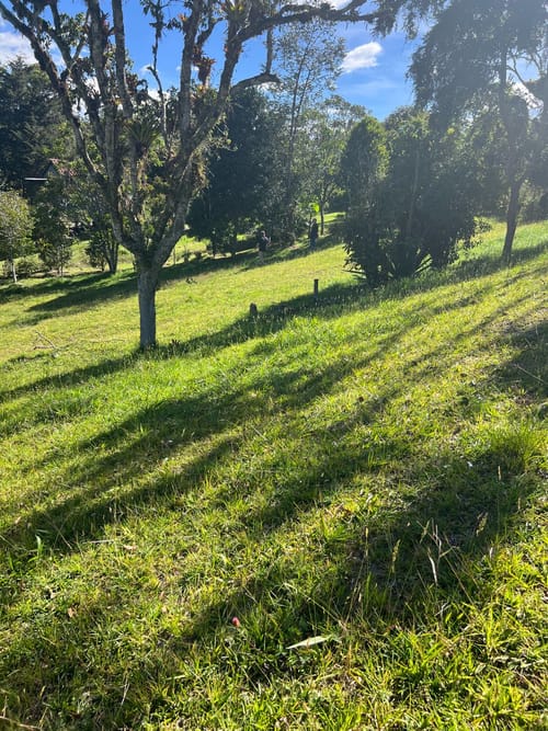 Lote en venta en Santa Elena, El Retiro, 2934 m² · foto 2 de 10