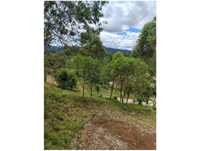 Lote en venta en Santa Elena, El Retiro, 3562 m² · foto 15 de 15