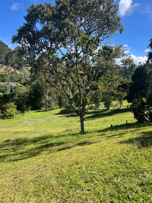 Lote en venta en Santa Elena, El Retiro, 2934 m² · foto 4 de 10