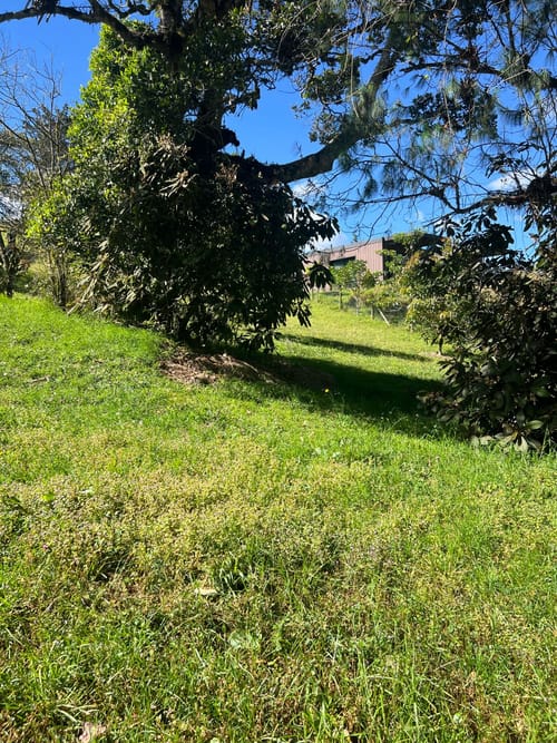 Lote en venta en Santa Elena, El Retiro, 2934 m² · foto 10 de 10