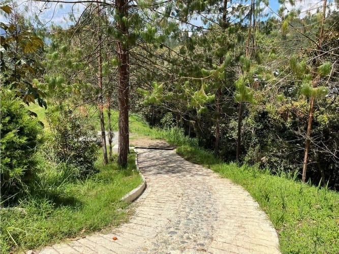 Lote en venta en Los Salados, El Retiro, 9686 m² · foto 5 de 18