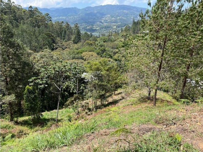 Lote en venta en Los Salados, El Retiro, 9686 m² · foto 7 de 18