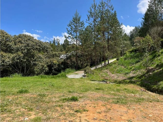Lote en venta en Los Salados, El Retiro, 9686 m² · foto 8 de 18