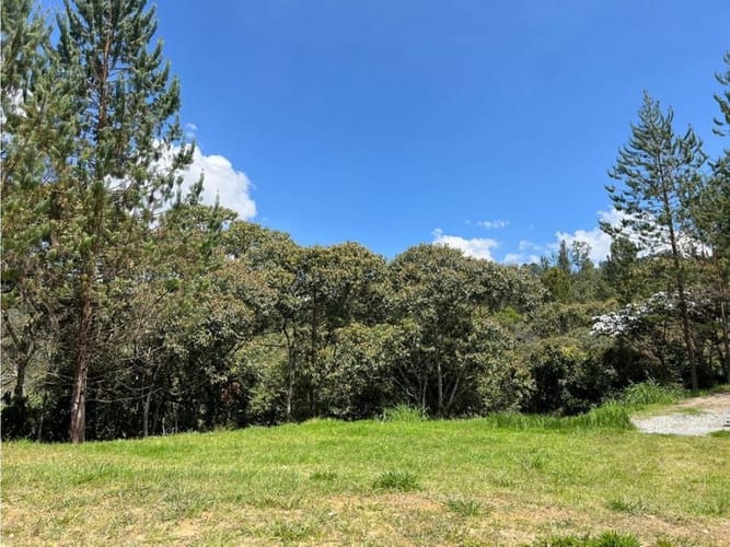 Lote en venta en Los Salados, El Retiro, 9686 m² · foto 9 de 18