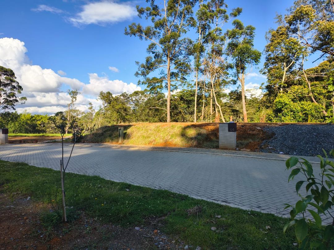 Land in Santa Elena (1594 m²) for Sale - 3