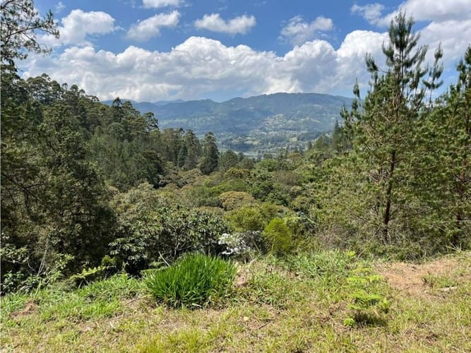 Lote en venta en Los Salados, El Retiro, 9686 m² · foto 14 de 18
