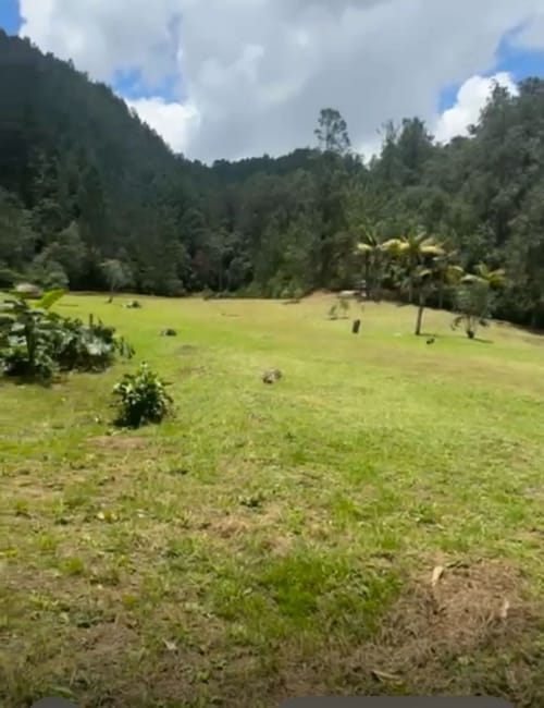 Lote en venta en Santa Elena, El Retiro, 15480 m² · foto 5 de 13