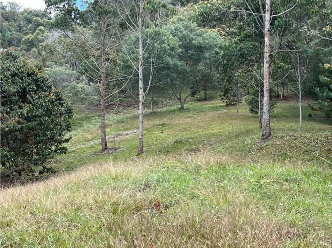 Lote en venta en Santa Elena, El Retiro, 10172 m² · foto 3 de 17