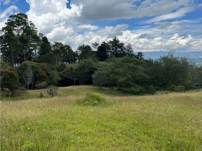 Lote en venta en Santa Elena, El Retiro, 10172 m² · foto 5 de 17