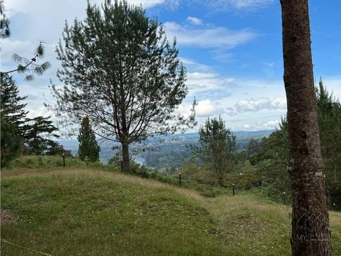 Lote en venta en Santa Elena, El Retiro, 10172 m² · foto 6 de 17