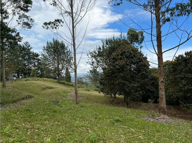 Lote en venta en Santa Elena, El Retiro, 10172 m² · foto 9 de 17