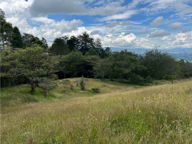 Lote en venta en Santa Elena, El Retiro, 10172 m² · foto 11 de 17